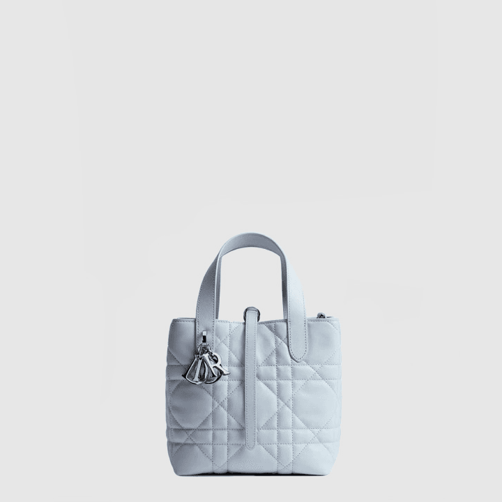 디올 스몰 Dior Toujours 버티컬 토트백