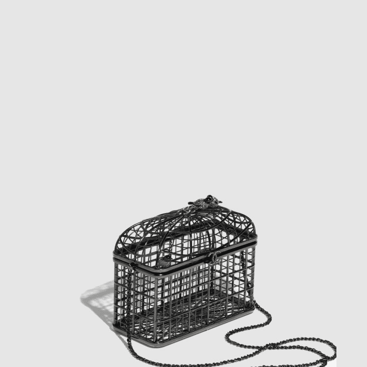 샤넬 버드케이지 미노디에르